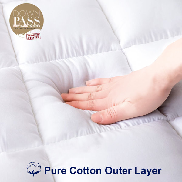 The Twillery Co.® Ilya 2" Down and Feathers Mattress Topper & Reviews